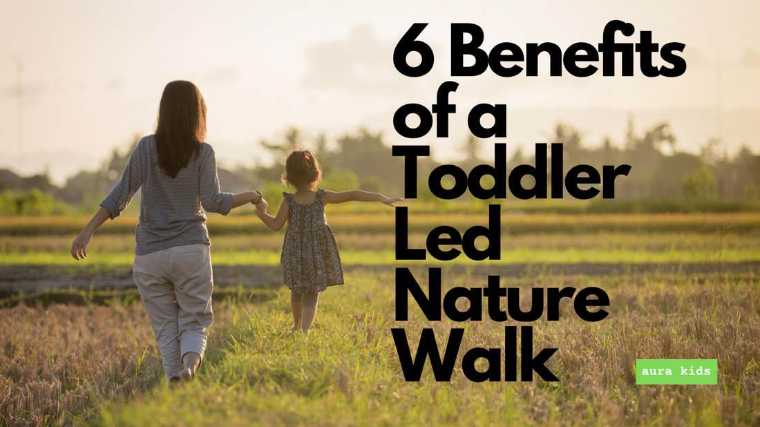 6 Benefits of a Toddler Led Nature Walk